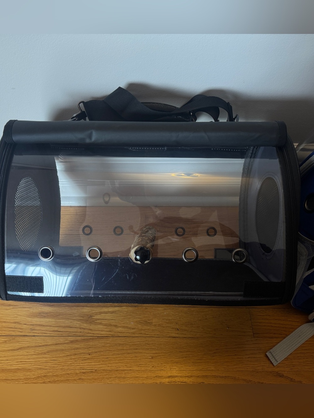 Portable Transparent Bird Carrier Tote with Ventilation and Privacy Flaps